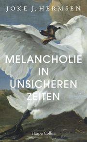 Melancholie in unsicheren Zeiten Hermsen, Joke J 9783749902378
