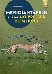 Meridiantafeln für die Akupressur beim Hund Specht, Simone 9783818614362