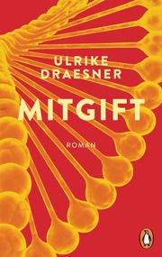 Mitgift Draesner, Ulrike 9783328110095