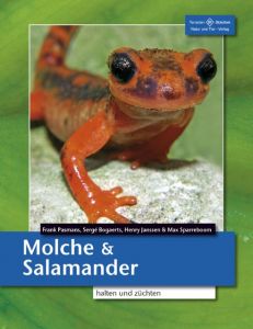 Molche & Salamander halten und züchten Pasmans, Frank/Bogaerts, Sergé/Janssen, Henry u a 9783866592667