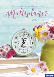 Multiplaner 2025  9783866038769