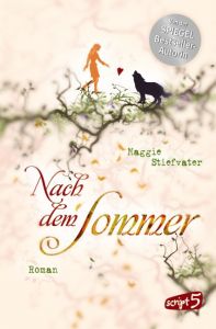 Nach dem Sommer Stiefvater, Maggie 9783839001677