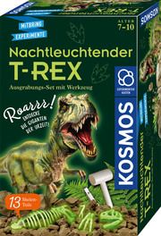 Nachtleuchtender T-REX  4002051658021