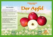 Naturkamishibai - Der Apfel Fischer-Nagel, Heiderose/Fischer-Nagel, Andreas 9783930038718