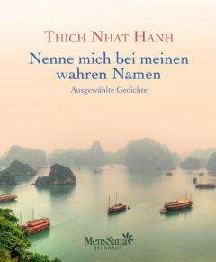 Nenne mich bei meinen wahren Namen Thich Nhat Hanh 9783426656747