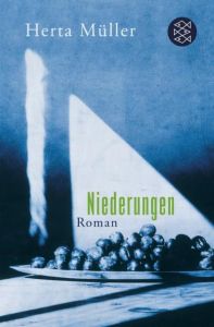 Niederungen Müller, Herta 9783596189816