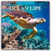 Ocean Life - Leben im Ozean 2025 - 16-Monatskalender  9781804426128