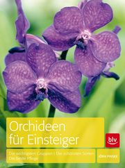 Orchideen für Einsteiger Pinske, Jörn 9783835408388