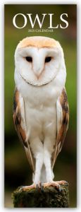 Owls - Eulen 2025  9781804605295