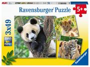 Panda, Tiger und Löwe  4005556056668