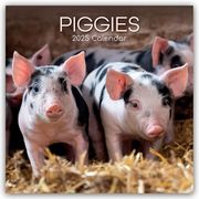 Piggies - Ferkel Schweine 2025 - 16-Monatskalender  9781835361634