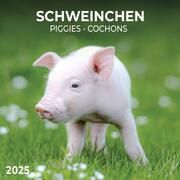 Piggies/Schweinchen 2025  9783959294515