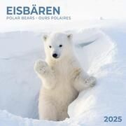 Polar Bears/Eisbärchen 2025  9783959294638