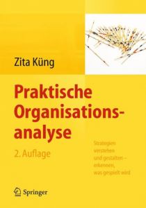 Praktische Organisationsanalyse Küng, Zita 9783642410499