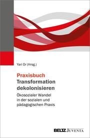 Praxisbuch Transformation dekolonisieren Yari Or 9783779973102