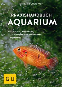 Praxishandbuch Aquarium Schliewen, Ulrich 9783833861390