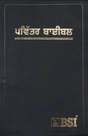 Punjabi  9783438081971