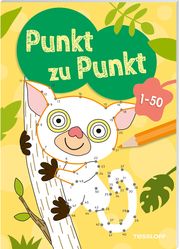 Punkt zu Punkt. 1-50 Ina Kappes 9783788645830