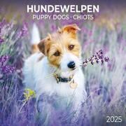 Puppy Dogs/Hundewelpen 2025  9783959294560