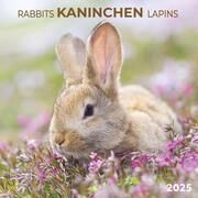 Rabbits/Kaninchen 2025  9783959294720