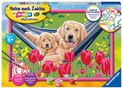 Ravensburger CreArt 20164 - Kuschelpause - Malen nach Zahlen Hund für Kinder ab 9 Jahre  4005556201648