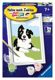 Ravensburger CreArt 23759 - Border Collie Welpe - Malen nach Zahlen Hund für Kinder ab 7 Jahre  4005556237593