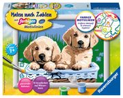 Ravensburger CreArt 27839 - Süße Hundewelpen - Malen nach Zahlen Hund für Kinder ab 7 Jahre  4005556278398