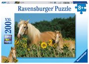 Ravensburger Kinderpuzzle - 12628 Pferdeglück - Pferde-Puzzle für Kinder ab 8 Jahren, mit 200 Teilen im XXL-Format  4005556126286