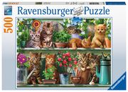 Ravensburger Puzzle 14824 - Katzen im Regal - 500 Teile Puzzle für Erwachsene und Kinder ab 10 Jahren, Tier-Puzzle mit Katzen-Motiv Adrian Chesterman 4005556148240