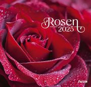 Rosen 2025  9783866037687
