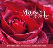 Rosen 2025  9783866037694