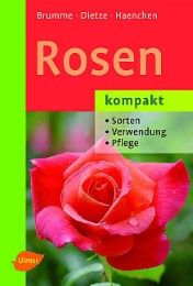 Rosen kompakt Brumme, Hella/Dietze, Peter/Haenchen, Eckart 9783800153794
