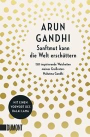 Sanftmut kann die Welt erschüttern Gandhi, Arun 9783832165598