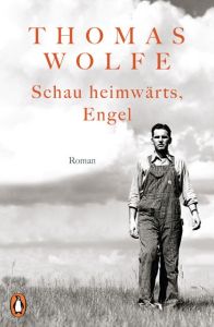 Schau heimwärts, Engel Wolfe, Thomas 9783328101673