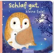 Schlaf gut, kleine Eule! Sharon Harmer 9783845859323