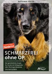 Schmerzfrei ohne OP Minerva Verlag GmbH & Co KG 9783910503083