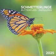 Schmetterlinge 2025  9783959294768