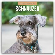 Schnauzer 2025 - 16-Monatskalender  9781804425060