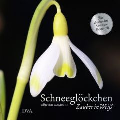 Schneeglöckchen Waldorf, Günter 9783421040206