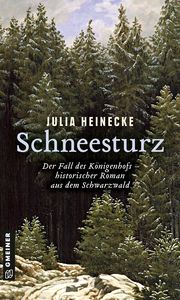 Schneesturz - Der Fall des Königenhofs Heinecke, Julia 9783839228555