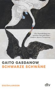 Schwarze Schwäne Gasdanow, Gaito 9783423148702