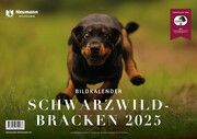 Schwarzwildbracken 2025  9783788820978