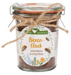 Bienenglück - Sommerblumen für emsige Bienen