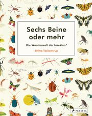 Sechs Beine oder mehr - Die Wunderwelt der Insekten und Spinnen Teckentrup, Britta 9783791374390