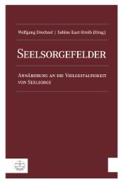 Seelsorgefelder Wolfgang Drechsel/Sabine Kast-Streib 9783374051878