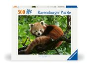 Süßer roter Panda  4005555003694