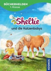 Sheltie - Sheltie und die Katzenbabys Kessel, Carola von 9783440178317