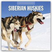 Siberian Huskies - Sibirischer Husky - Sibirische Huskys 2025 - 16-Monatskalender  9781804425121