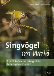 Singvögel im Wald Pfeifer, Robert/Schmidt, Olaf 9783891048542