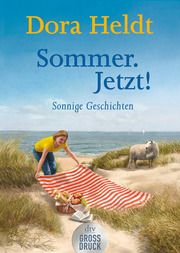 Sommer. Jetzt! Heldt, Dora 9783423254243